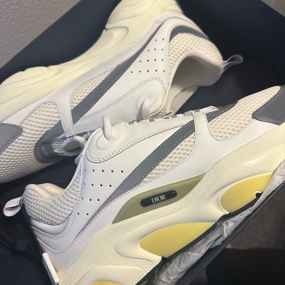 Dior White and Gray Chunky Sneakers